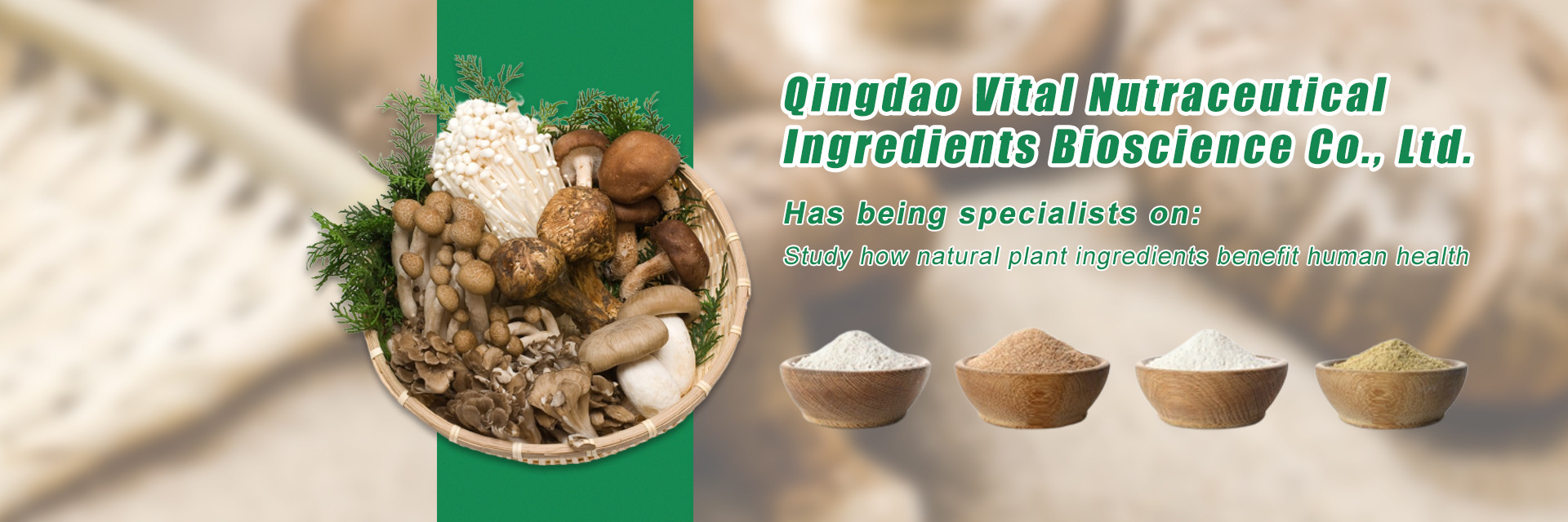 품질 식물성 식물 추출물 공장