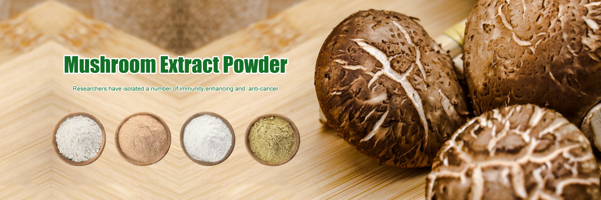 품질 식물성 식물 추출물 공장